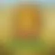 Zagraj Mega Moolah z Games Global w {"id":30,"name":"Bitkingz","design":{"logo":"bitkingz-logo.rKfytH.svg","favicon":"bitkingz-favicon.J4B6OG.png","banner_poker":"bitkingz-poker-BtOdId.webp","banner_mobile":"bitkingz-mobile-Z3Y27h.webp","block_bg_color":"#1E212C","image_bg_color":"#333","banner_bg_color":"#1E212C","block_text_color":"#ffffff","primary_bg_color":"#121518","banner_text_color":"#fff","footer_logos_type":"white","block_round_radius":"0.75rem","primary_text_color":"#ffffff","button_round_radius":"0.5rem","banner_welcome_bonus":"bitkingz-welcome-bonus-uTtHWb.webp","primary_button_bg_color":"#19C662","primary_button_text_color":"#030712","secondary_button_bg_color":"#ED8F03","secondary_button_text_color":"#09090b"},"created_at":"2025-05-14T09:25:22.000000Z","updated_at":"2025-05-14T09:25:22.000000Z","deleted_at":null}