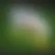 Zagraj Let It Ride z Playtech w {"id":30,"name":"Bitkingz","design":{"logo":"bitkingz-logo.rKfytH.svg","favicon":"bitkingz-favicon.J4B6OG.png","banner_poker":"bitkingz-poker-BtOdId.webp","banner_mobile":"bitkingz-mobile-Z3Y27h.webp","block_bg_color":"#1E212C","image_bg_color":"#333","banner_bg_color":"#1E212C","block_text_color":"#ffffff","primary_bg_color":"#121518","banner_text_color":"#fff","footer_logos_type":"white","block_round_radius":"0.75rem","primary_text_color":"#ffffff","button_round_radius":"0.5rem","banner_welcome_bonus":"bitkingz-welcome-bonus-uTtHWb.webp","primary_button_bg_color":"#19C662","primary_button_text_color":"#030712","secondary_button_bg_color":"#ED8F03","secondary_button_text_color":"#09090b"},"created_at":"2025-05-14T09:25:22.000000Z","updated_at":"2025-05-14T09:25:22.000000Z","deleted_at":null}